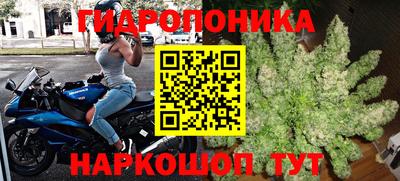 наркотики Краснознаменск